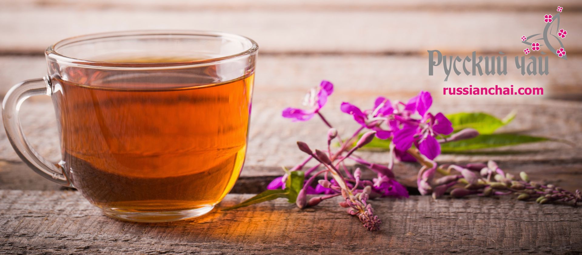 Ivan-tea, orosz tea, finom és gyógyító ital